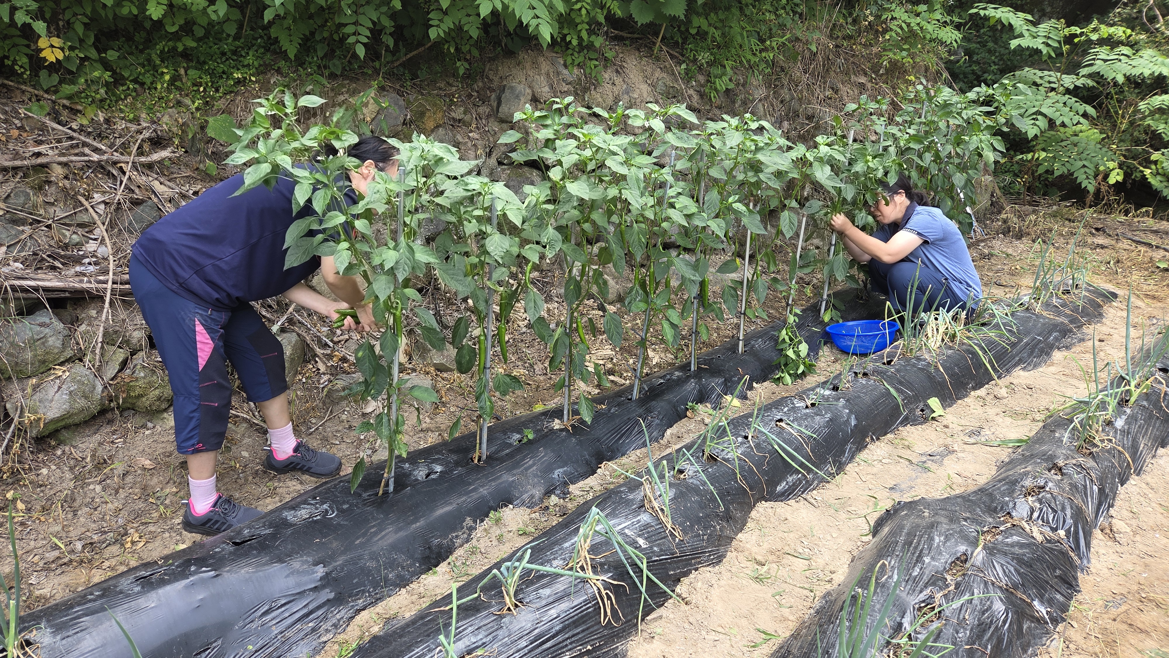 KakaoTalk_20250708_102109957_01.jpg