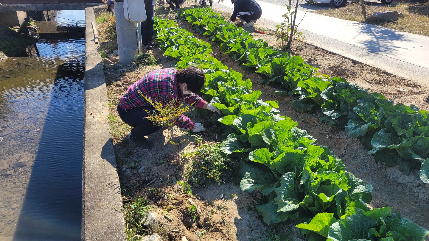 KakaoTalk_20221025_164350865_24.jpg